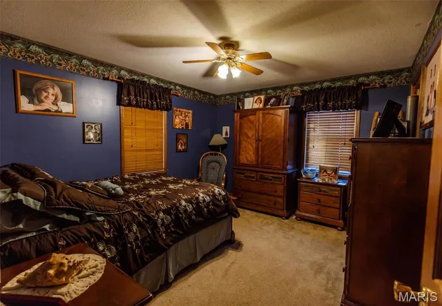 $360,000 | 702 South 525th Road, East Prairie, MO 63845