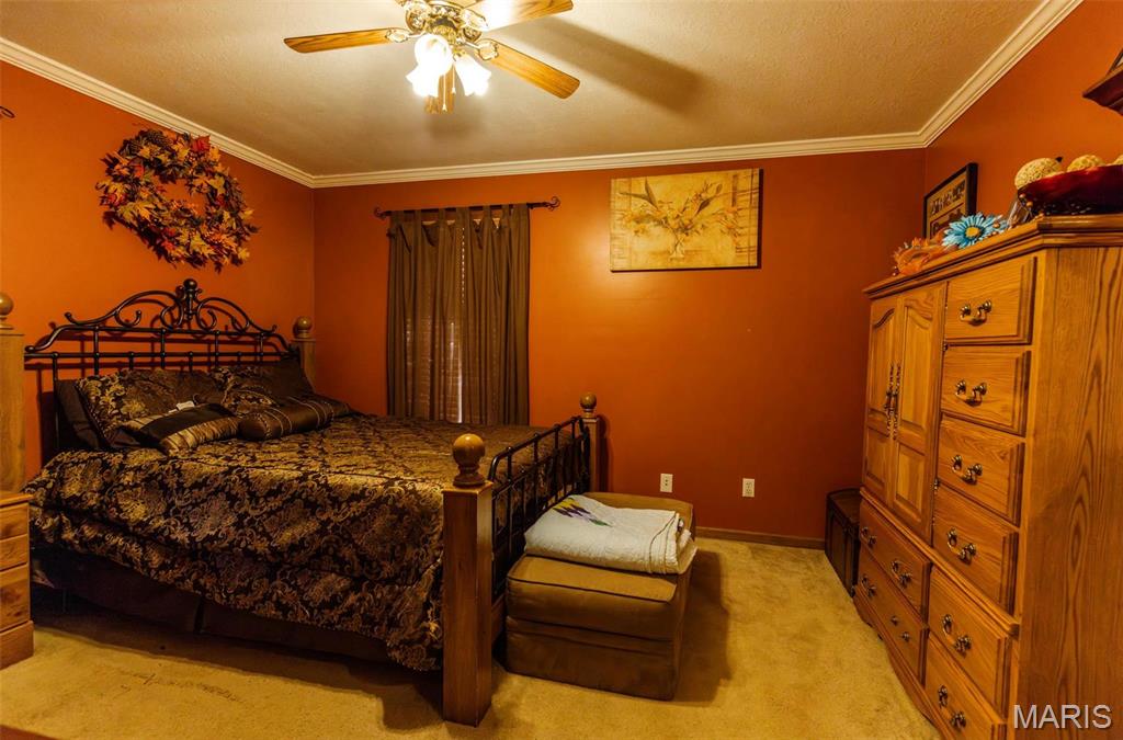 702 South 525th Road East Prairie, MO 63845 - Photo 39 of 60