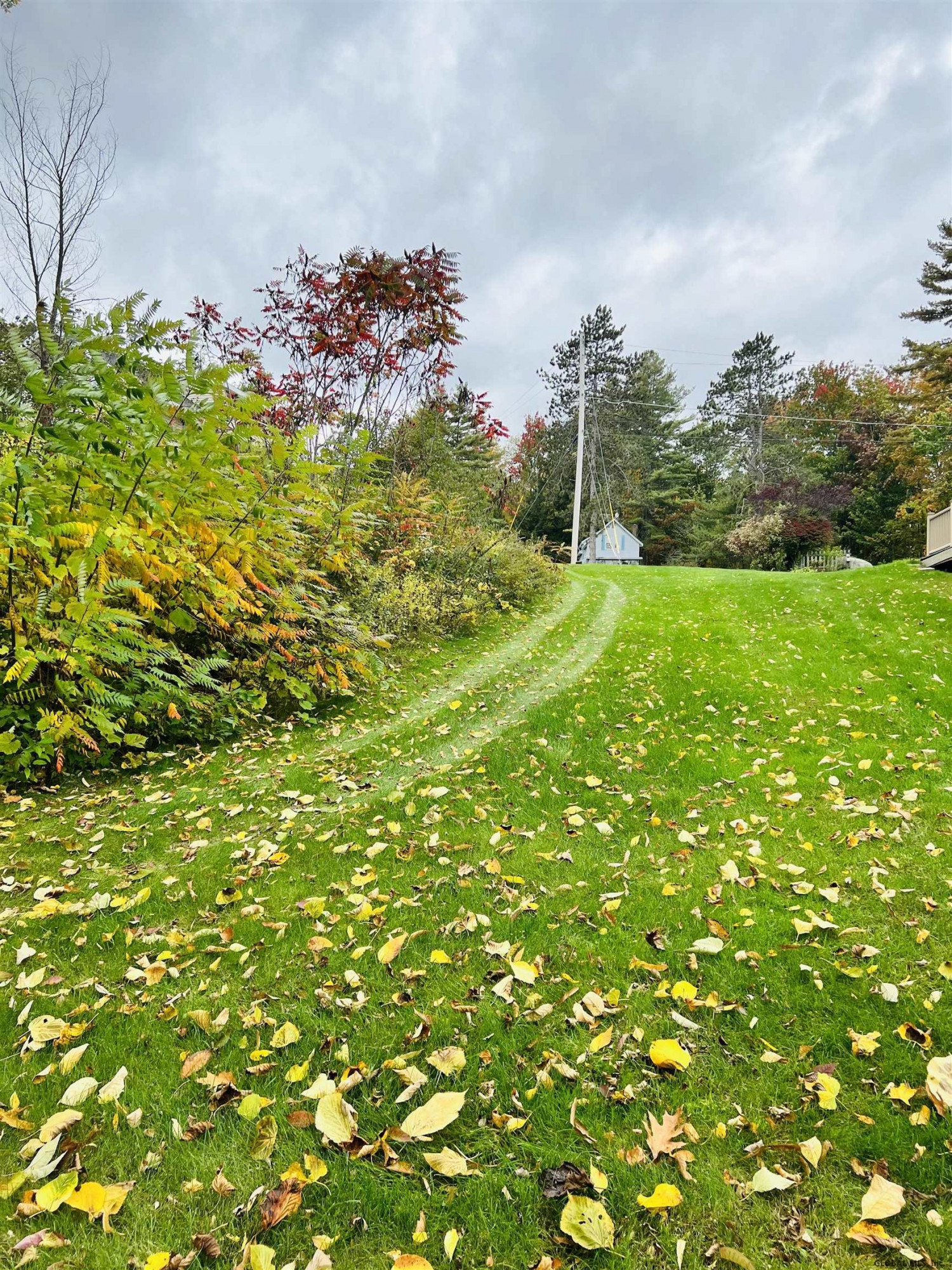 133 Ward Road Mayfield, NY 12117 - Photo 25 of 29 Photo 27