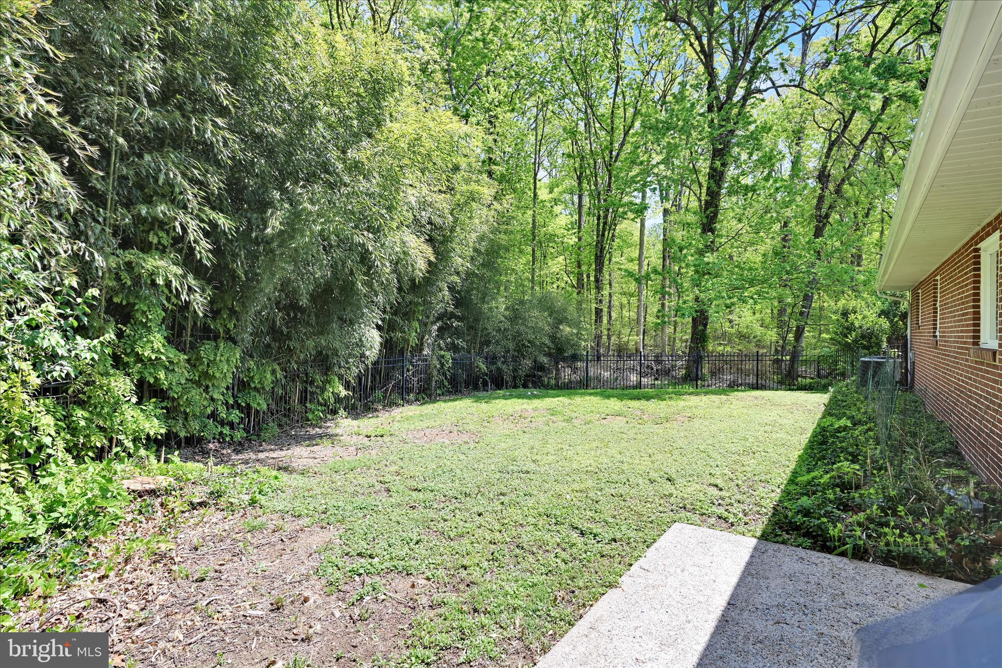 156 Bloody Spring Road Bernville, PA 19506 - Photo 32 of 38 Backyard