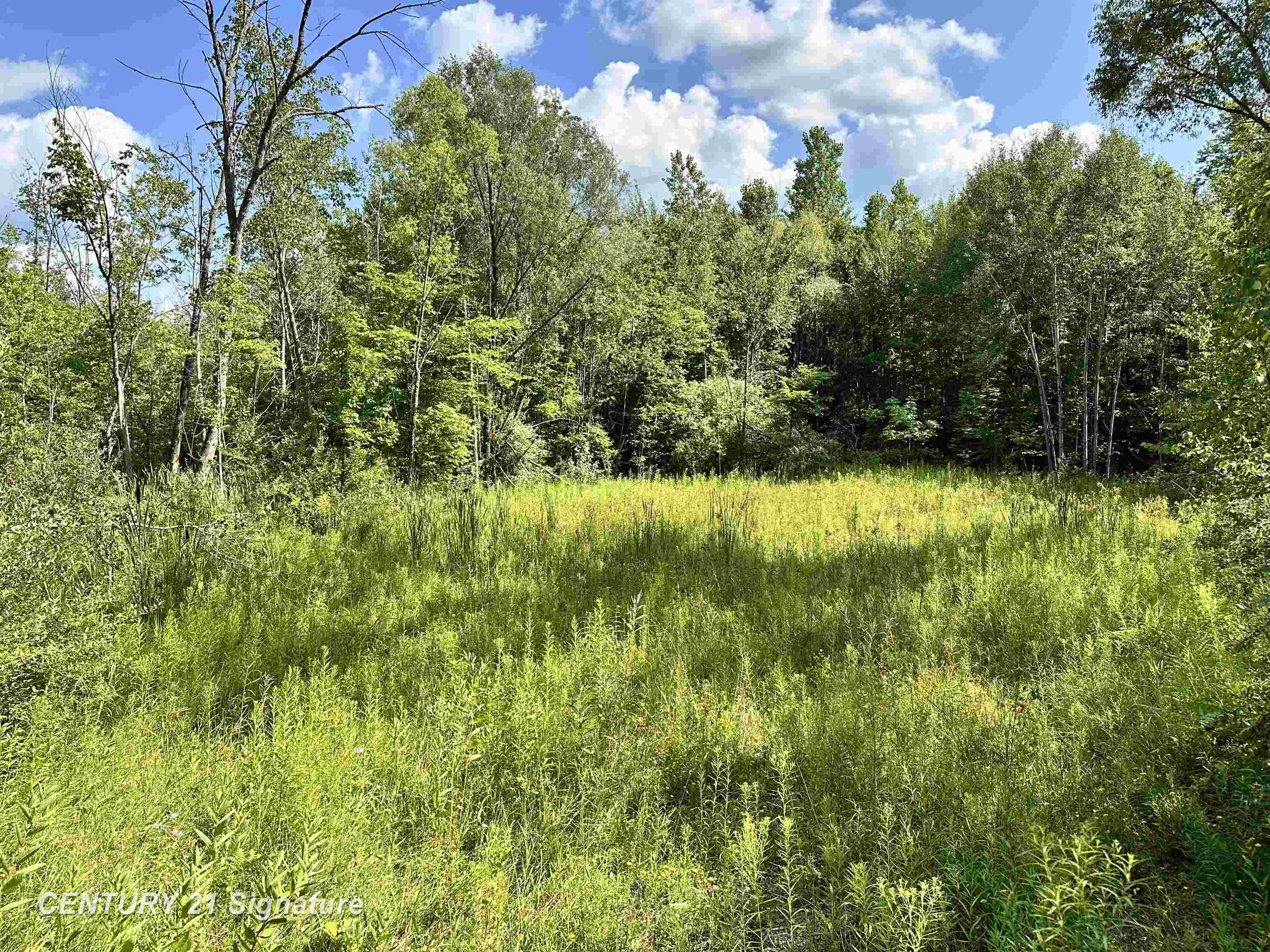 Vl West School Road Mount Pleasant, MI 48858 - Photo 6 of 10