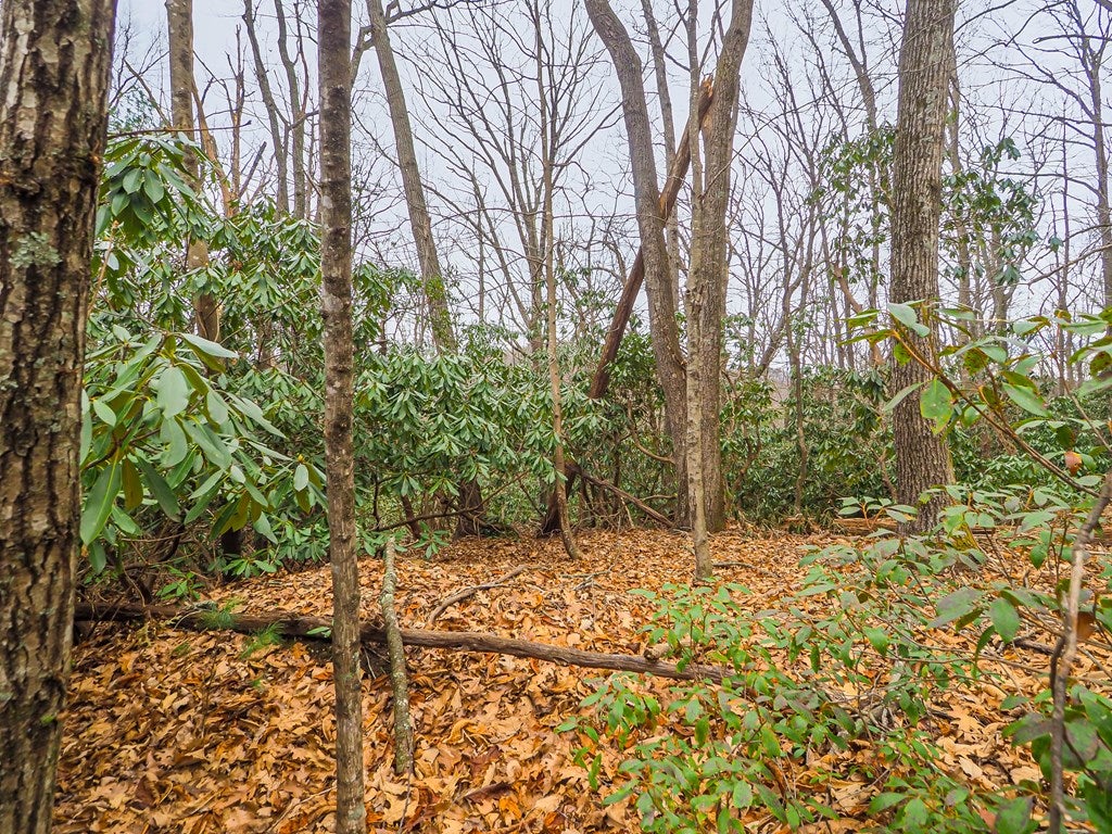 Tbd Spring Lure Trail, Unit F13 2B Fancy Gap, VA 24328 - Photo 4 of 14 Gallery Image 4