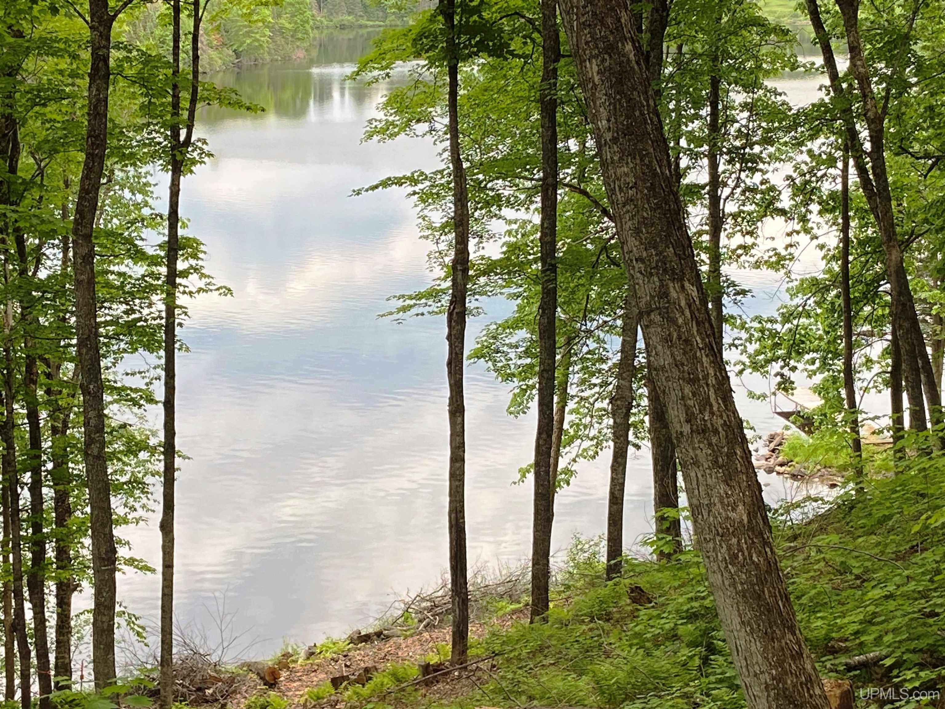 Tbd West Tamarack Lake Road, Unit LOT 5 Watersmeet, MI 49969 - Photo 11 of 66