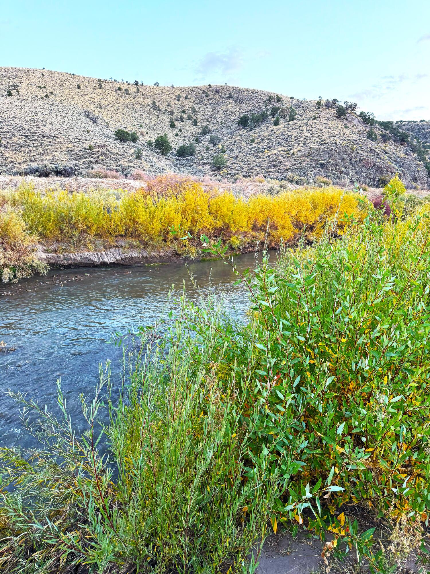 RIVER FRONT PROPERTY
