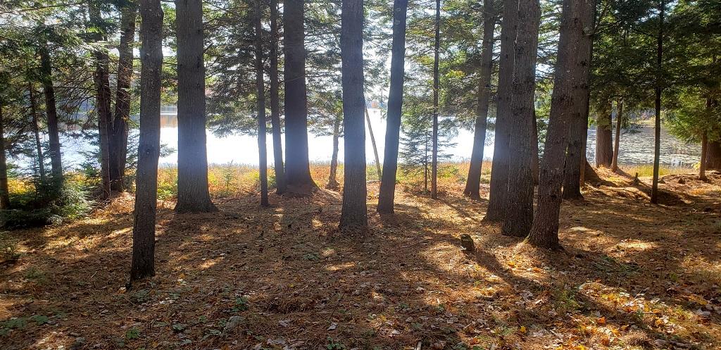 29 Walton Mills Road Mount Vernon, ME 04352 - Photo 4 of 30 Breathtaking Shore Frontage
