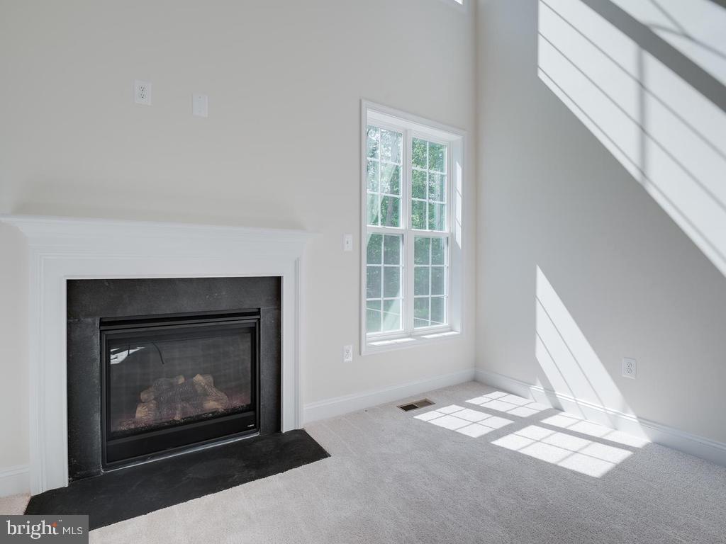 3606 Danville Road Brandywine, MD 20613 - Photo 28 of 57 Gallery Image 28