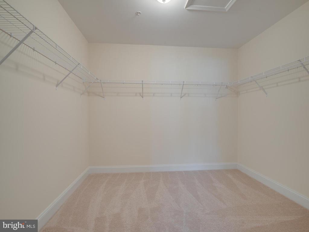 3606 Danville Road Brandywine, MD 20613 - Photo 53 of 57 Gallery Image 53