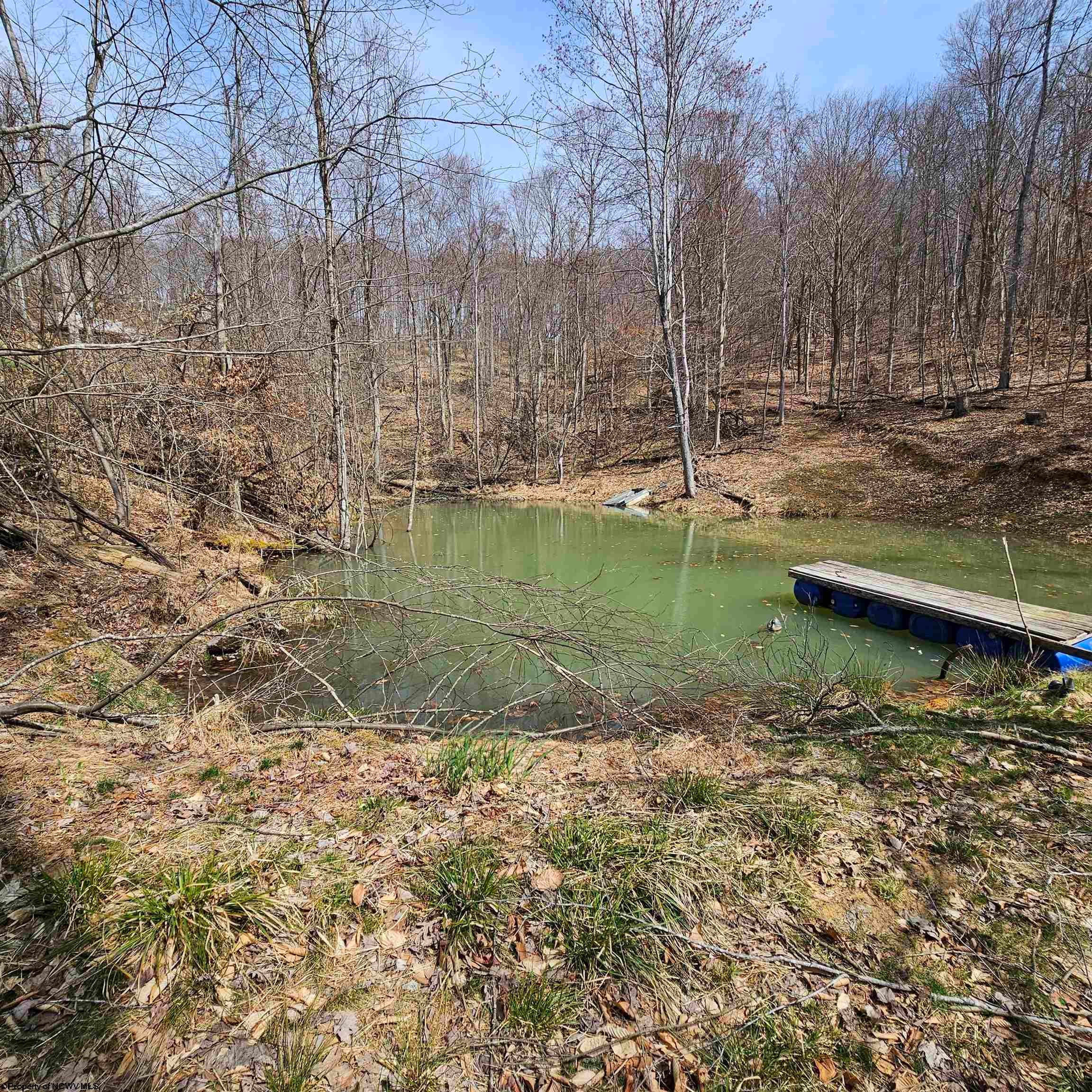 6531 Lake Lane Road Heaters, WV 26627 - Photo 22 of 41 Gallery Image 22