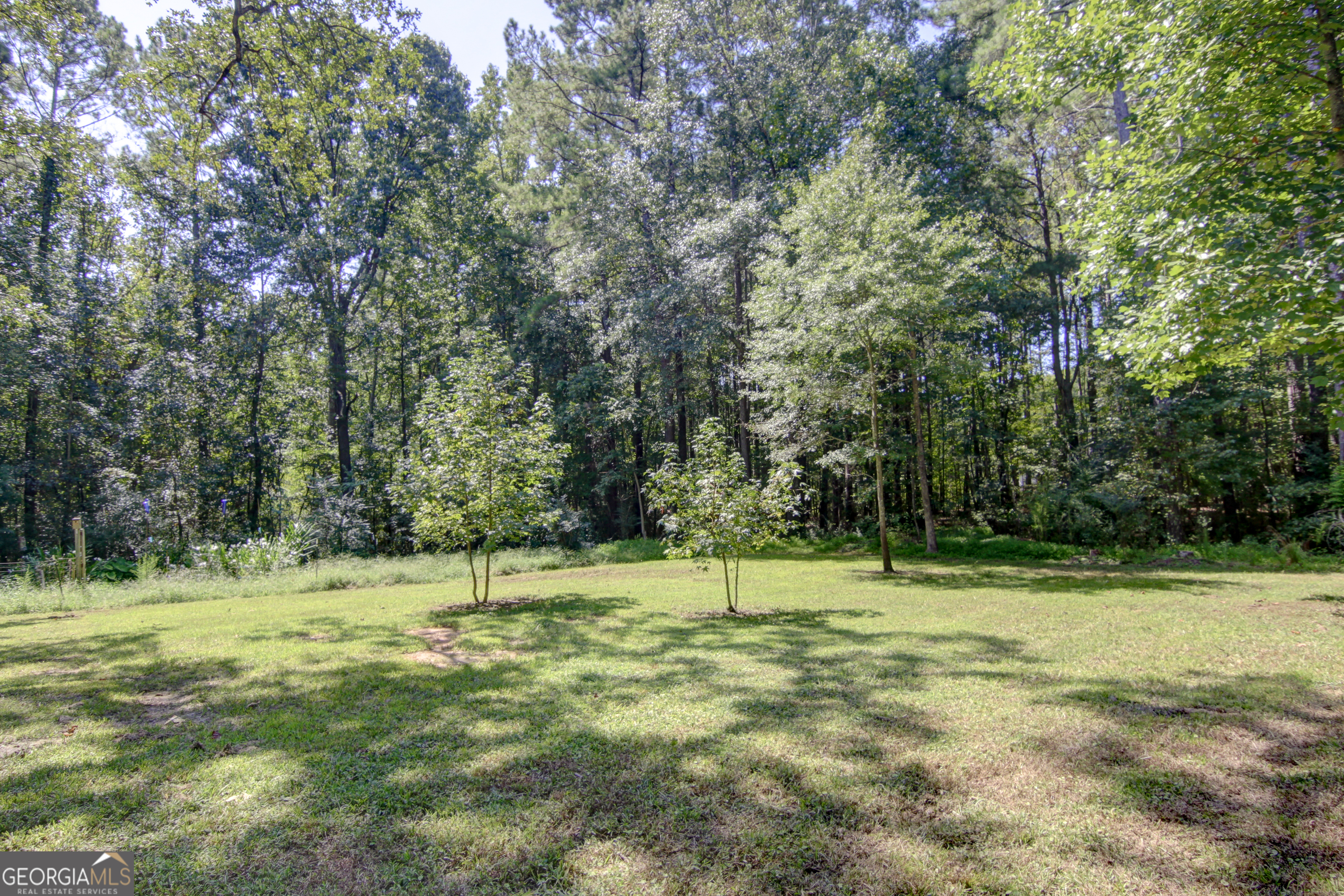 127 Wilkins Road Fayetteville, GA 30214 - Photo 53 of 53 a backyard of a house with a trees