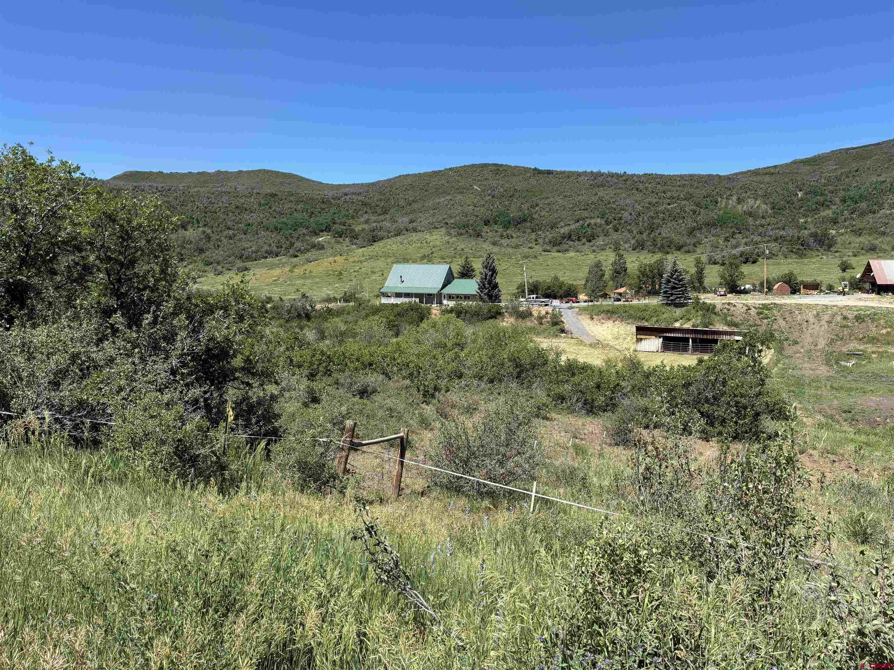 19253 Stevens Gulch Road Paonia, CO 81428 - Photo 3 of 43 a view of a forest with mountains in the background