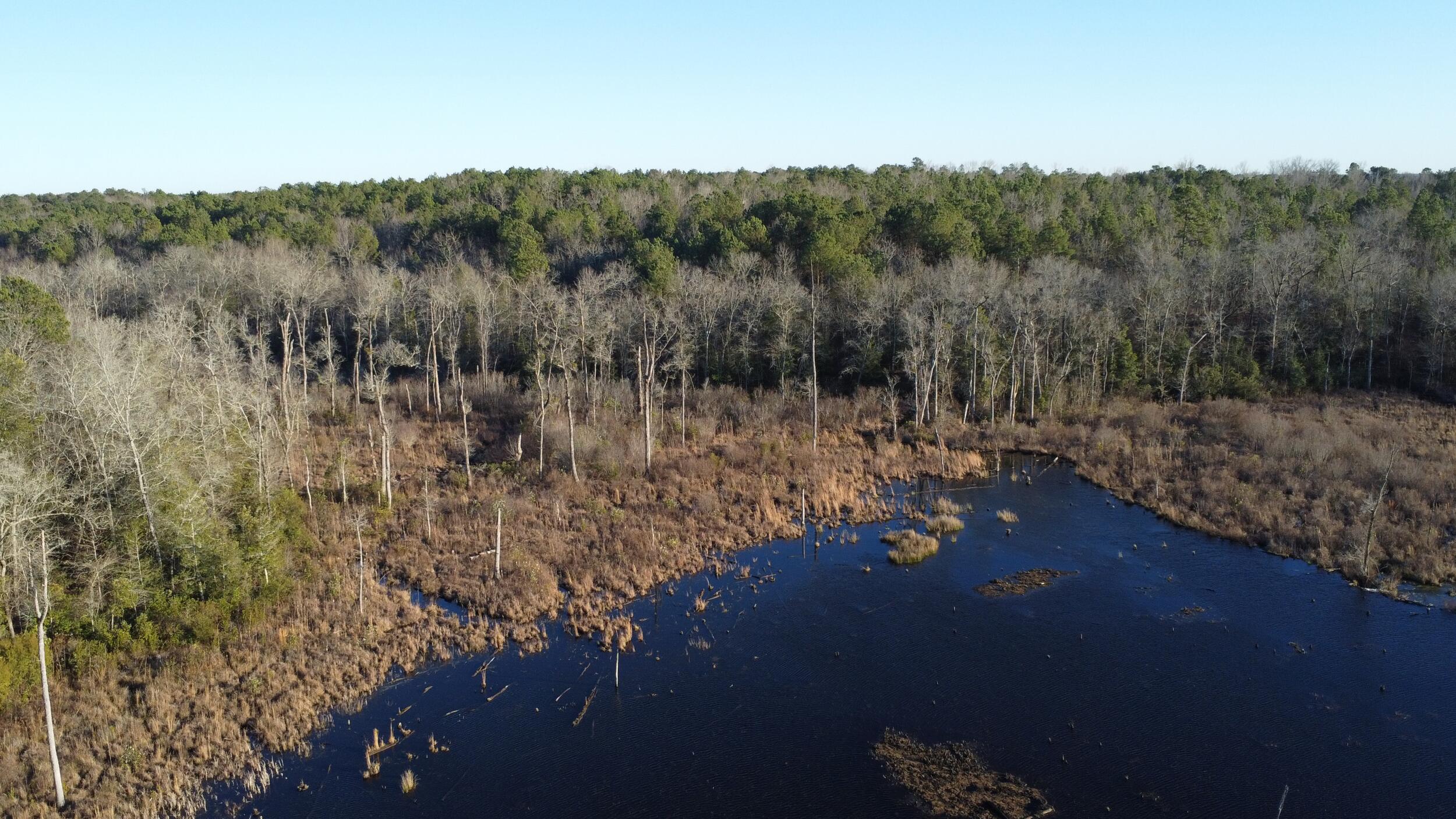 0 Millers Pond Road Salley, SC 29137 - Photo 9 of 28