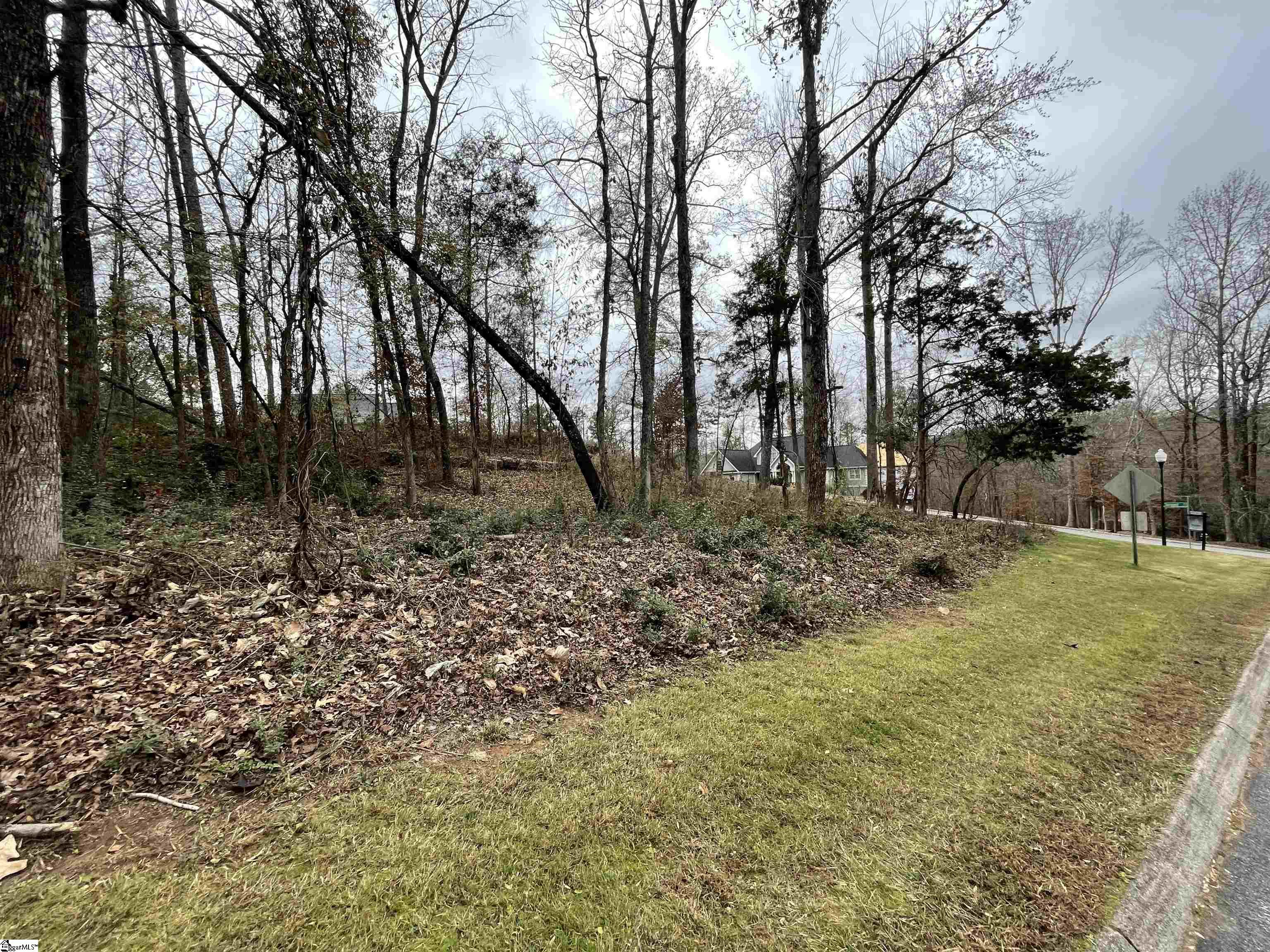 0 Beacon Ridge Drive Seneca, SC 29678 - Photo 1 of 11 Gallery Image 1