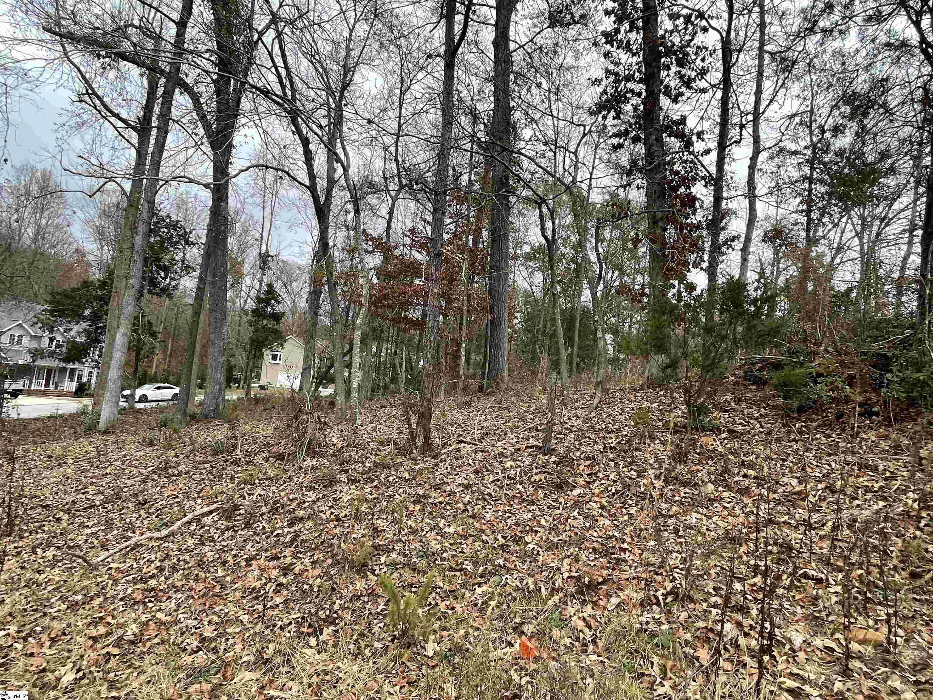 0 Beacon Ridge Drive Seneca, SC 29678 - Photo 2 of 11 Gallery Image 2
