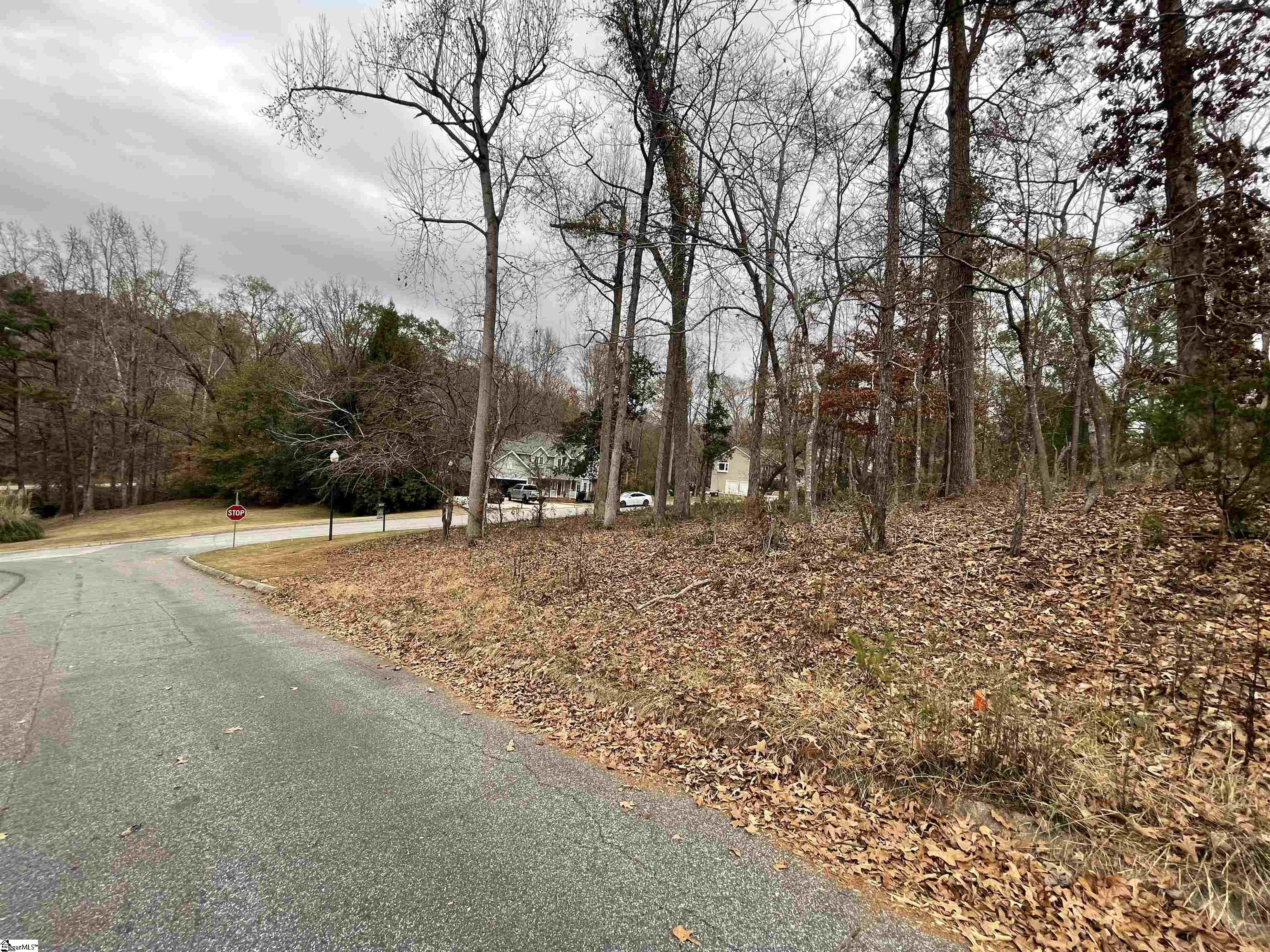 0 Beacon Ridge Drive Seneca, SC 29678 - Photo 3 of 11 Gallery Image 3