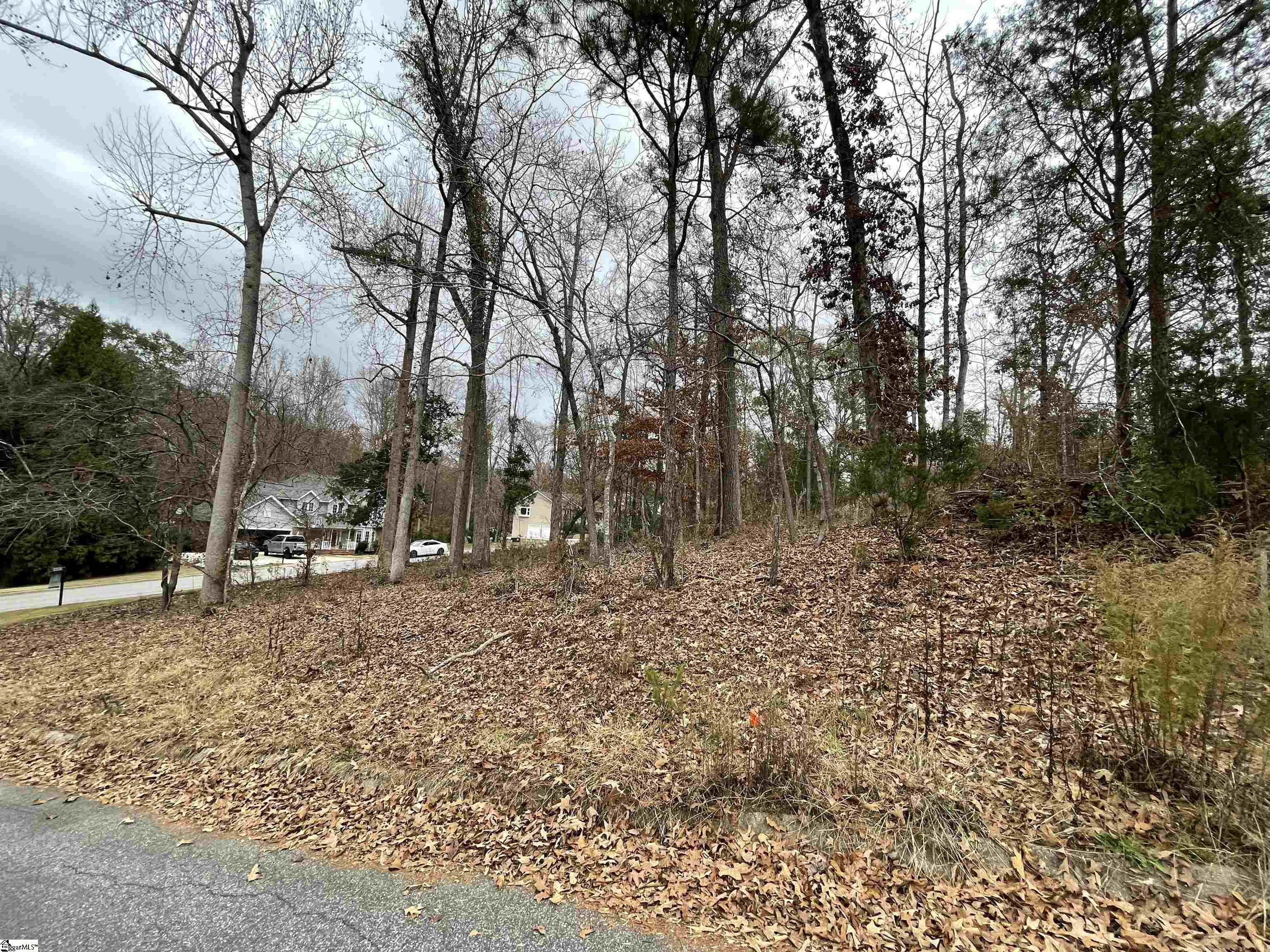 0 Beacon Ridge Drive Seneca, SC 29678 - Photo 4 of 11 Gallery Image 4