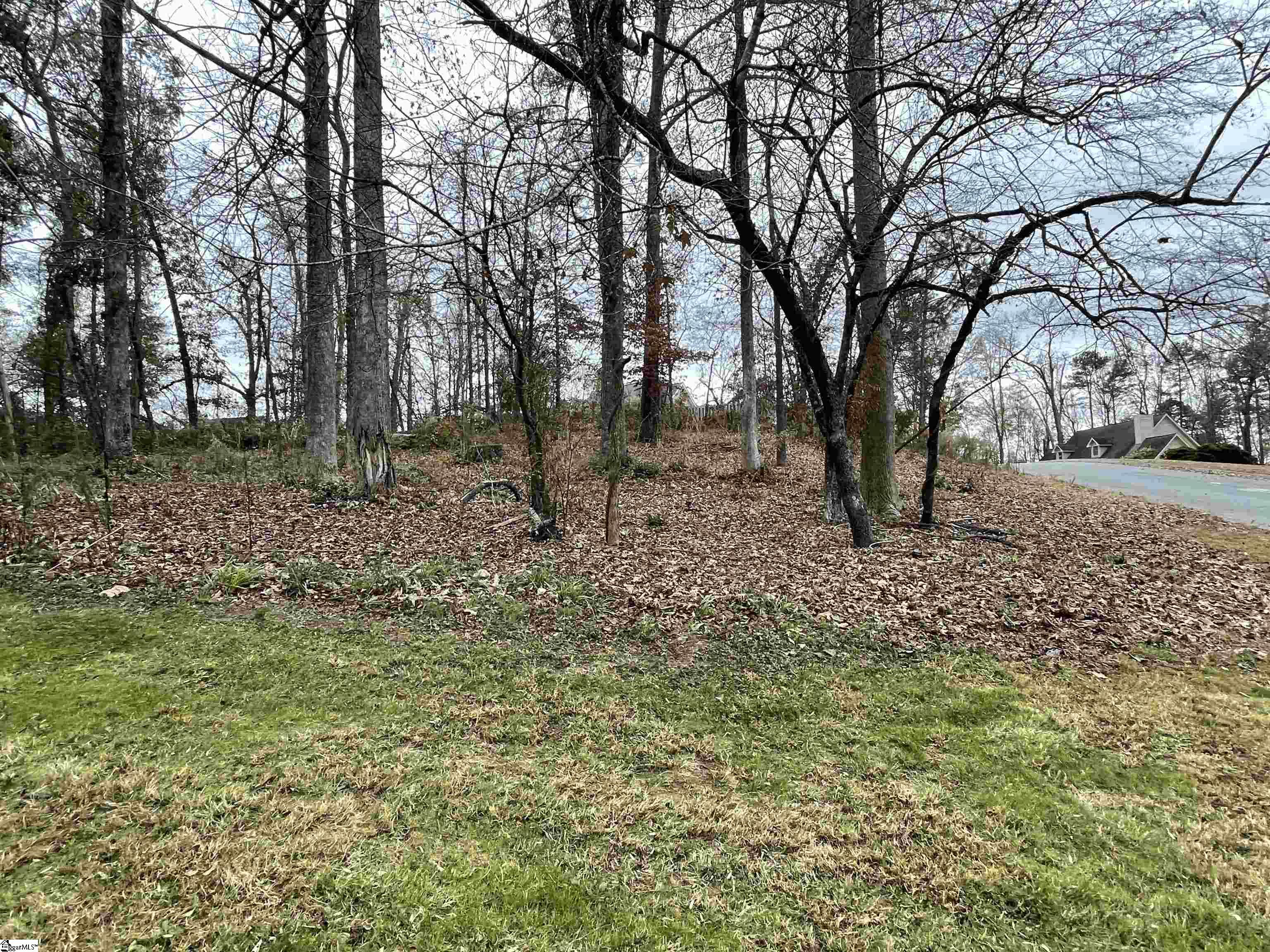 0 Beacon Ridge Drive Seneca, SC 29678 - Photo 8 of 11 Gallery Image 8