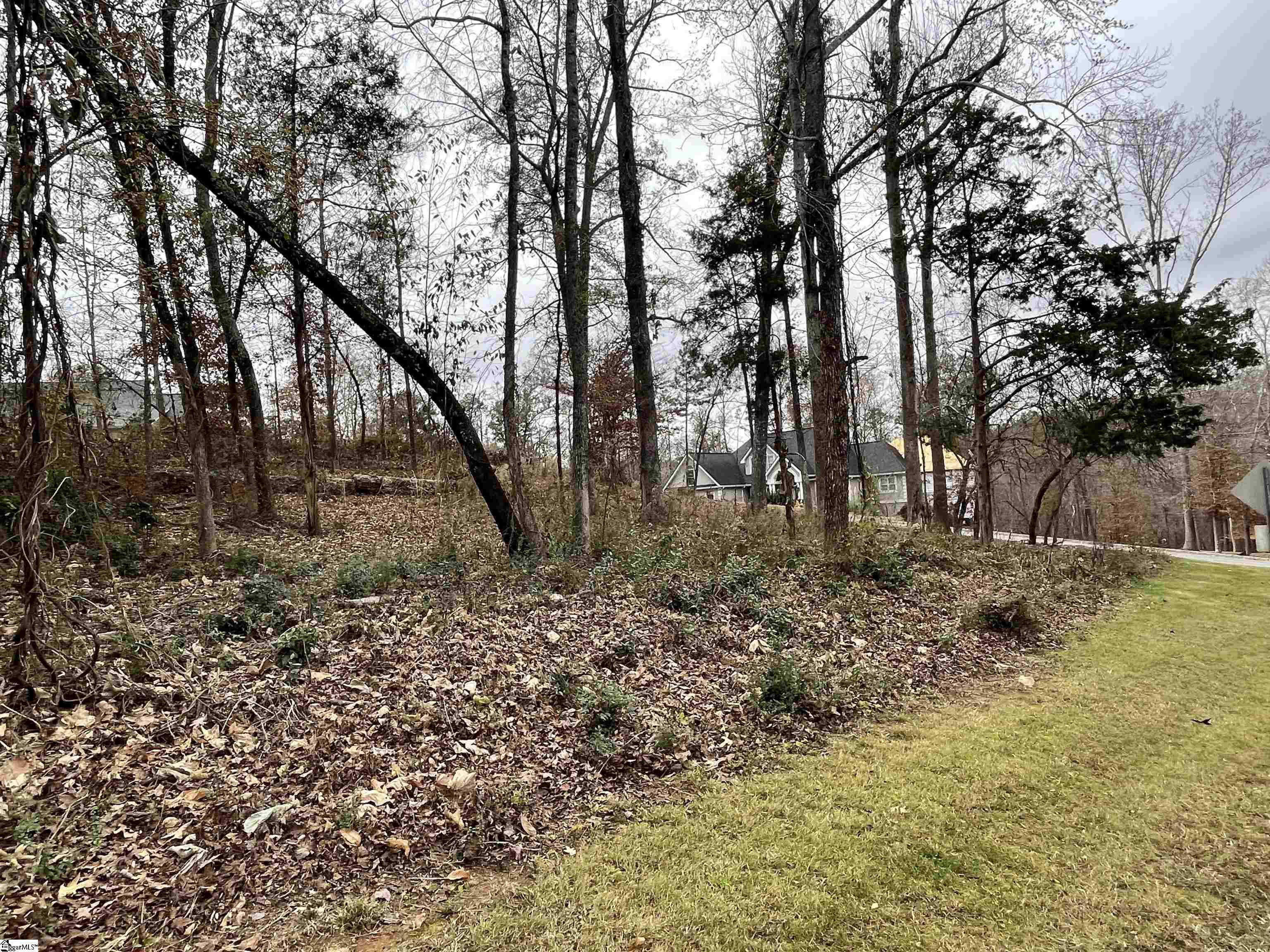 0 Beacon Ridge Drive Seneca, SC 29678 - Photo 10 of 11 Gallery Image 10