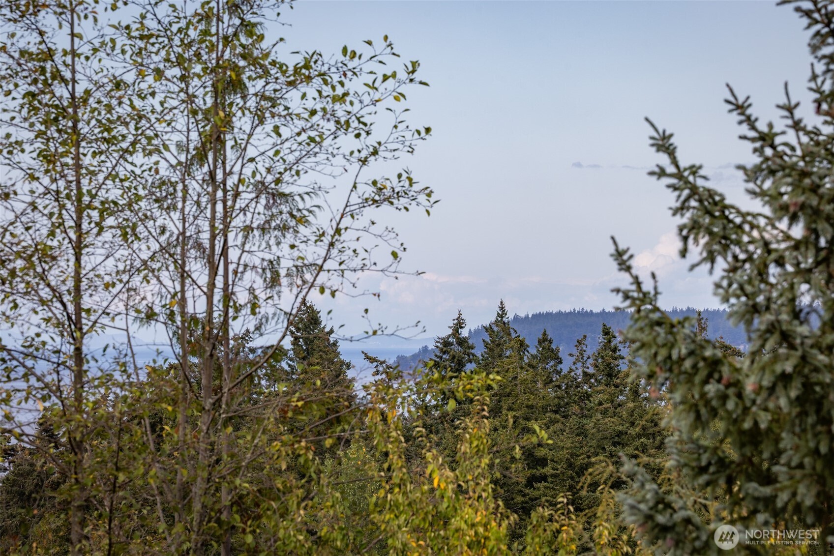 9999 Old Gardiner Road Sequim, WA 98382 - Photo 10 of 31 Gallery Image 10