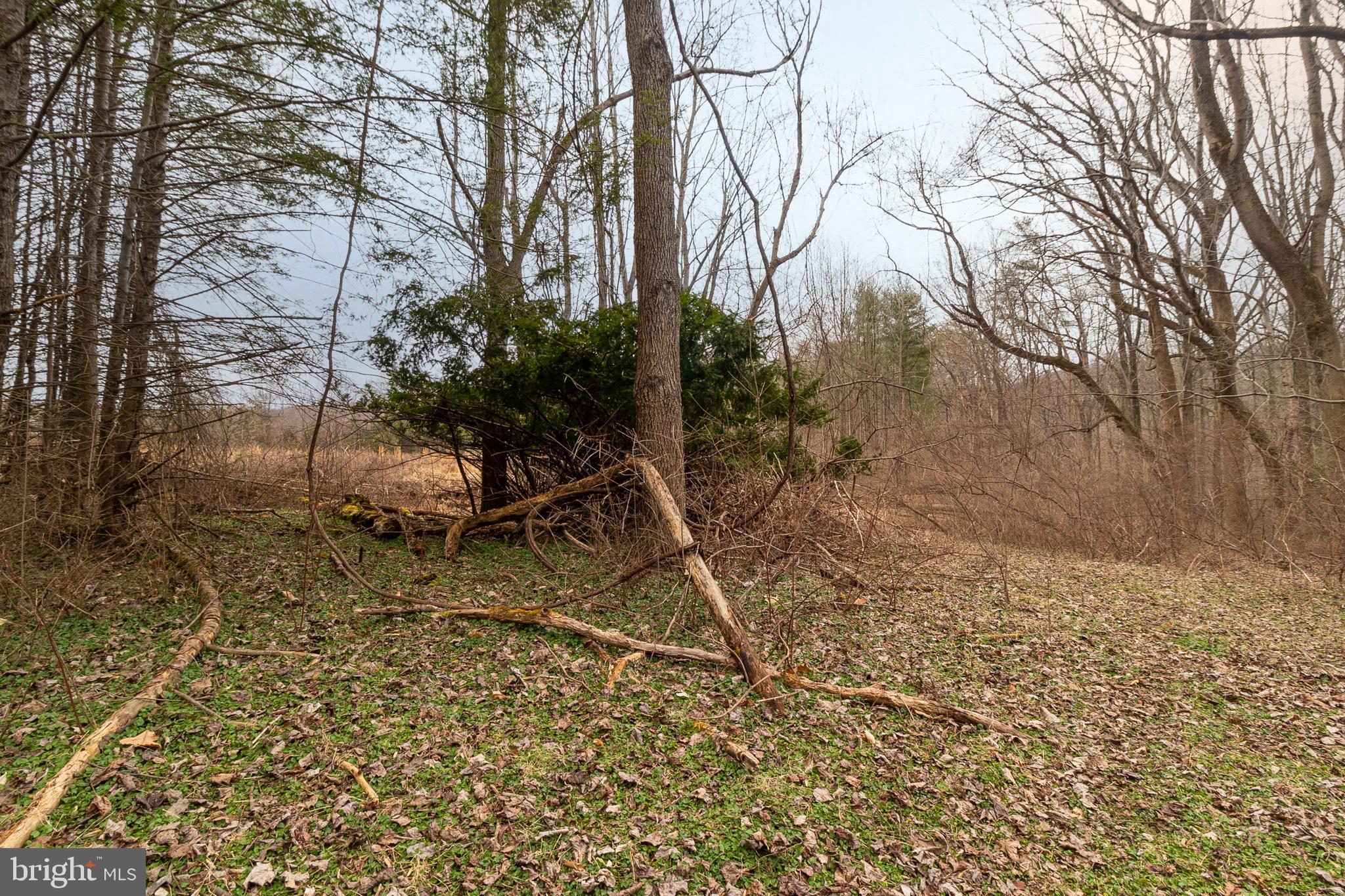 1625 Ashton Road Ashton, MD 20861 - Photo 11 of 23 a view of outdoor space