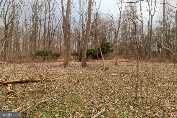 a view of wooden fence