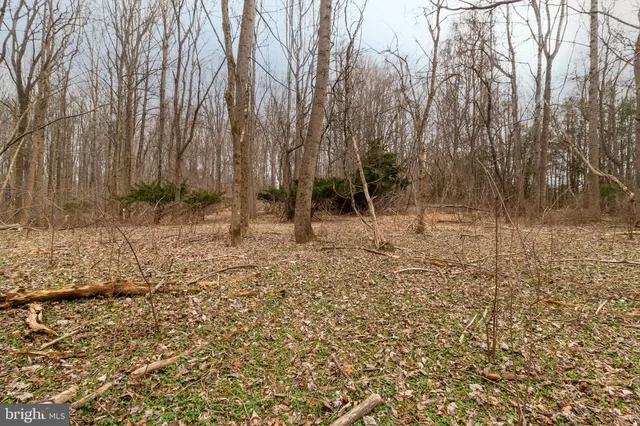 a view of wooden fence