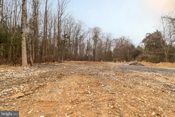 a view of outdoor space with trees