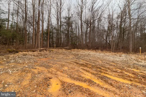 a view of yard with trees