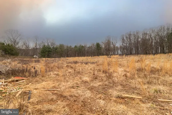 a view of yard covered with snow in yard