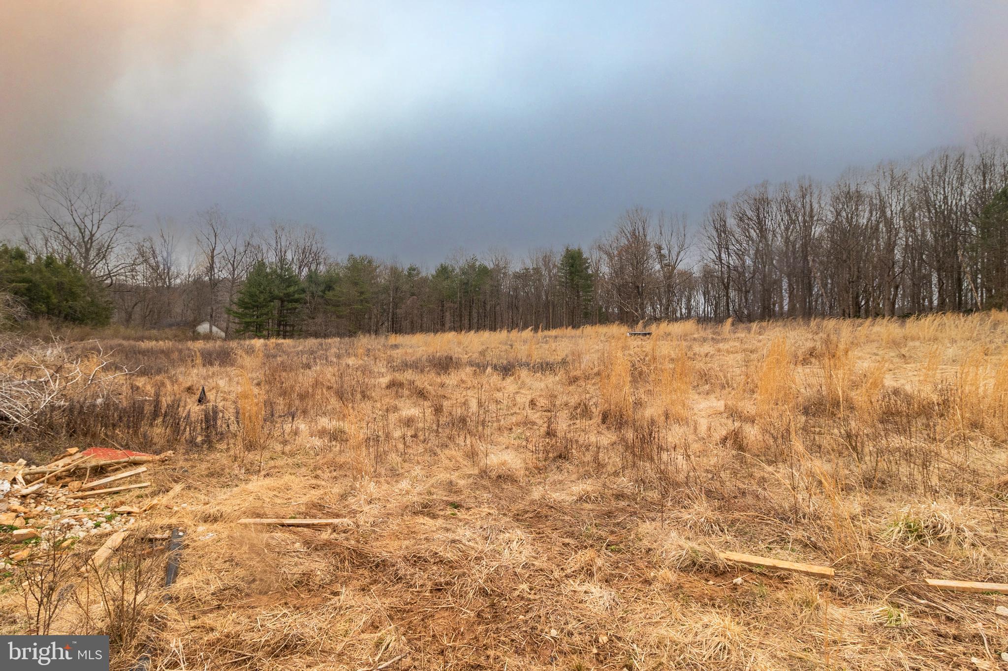 1625 Ashton Road Ashton, MD 20861 - Photo 18 of 23 a view of yard with trees