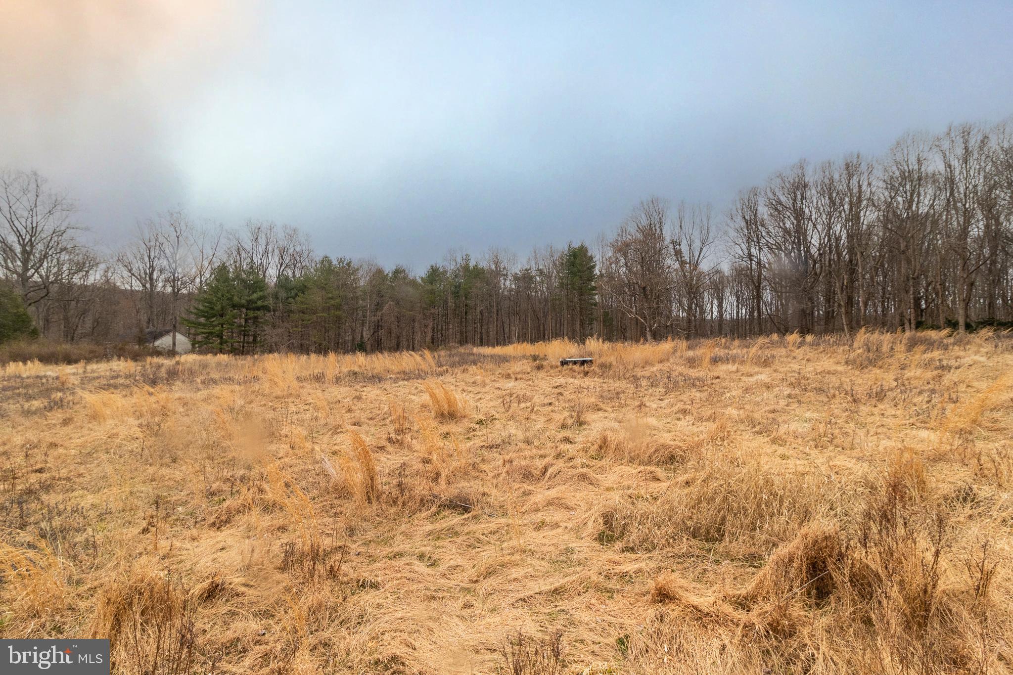 1625 Ashton Road Ashton, MD 20861 - Photo 20 of 23 a view of yard covered with snow in front of house