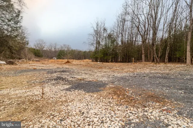 a view of empty room with trees