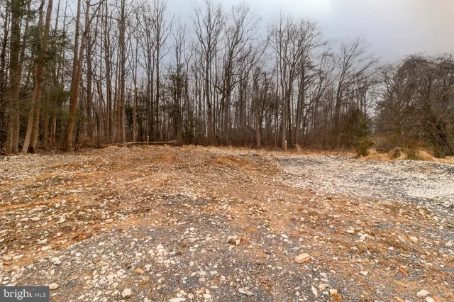 a view of outdoor space with trees