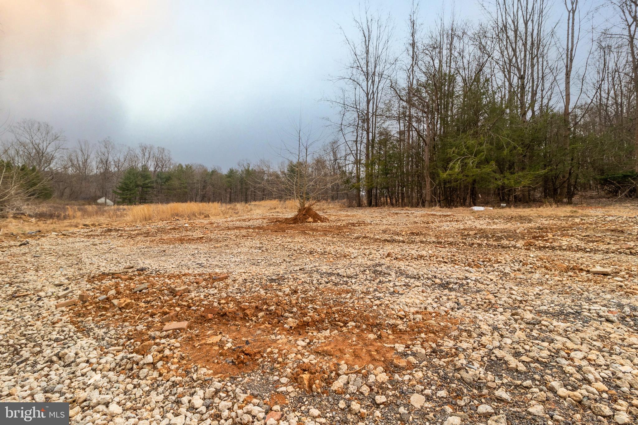 1625 Ashton Road Ashton, MD 20861 - Photo 4 of 23 a view of outdoor space with trees