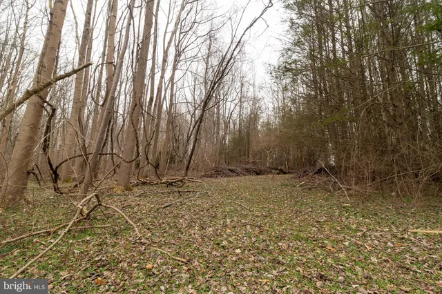 a view of a yard covered with snow