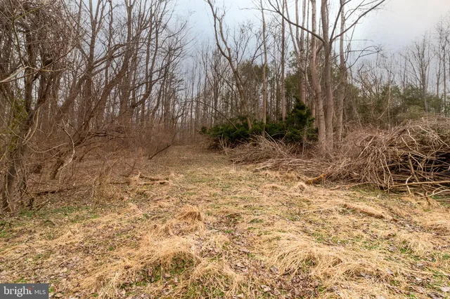 a view of outdoor space and yard