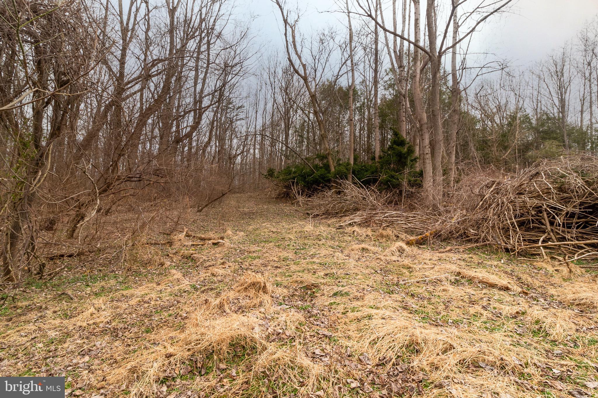 1625 Ashton Road Ashton, MD 20861 - Photo 8 of 23 a view of backyard with green space
