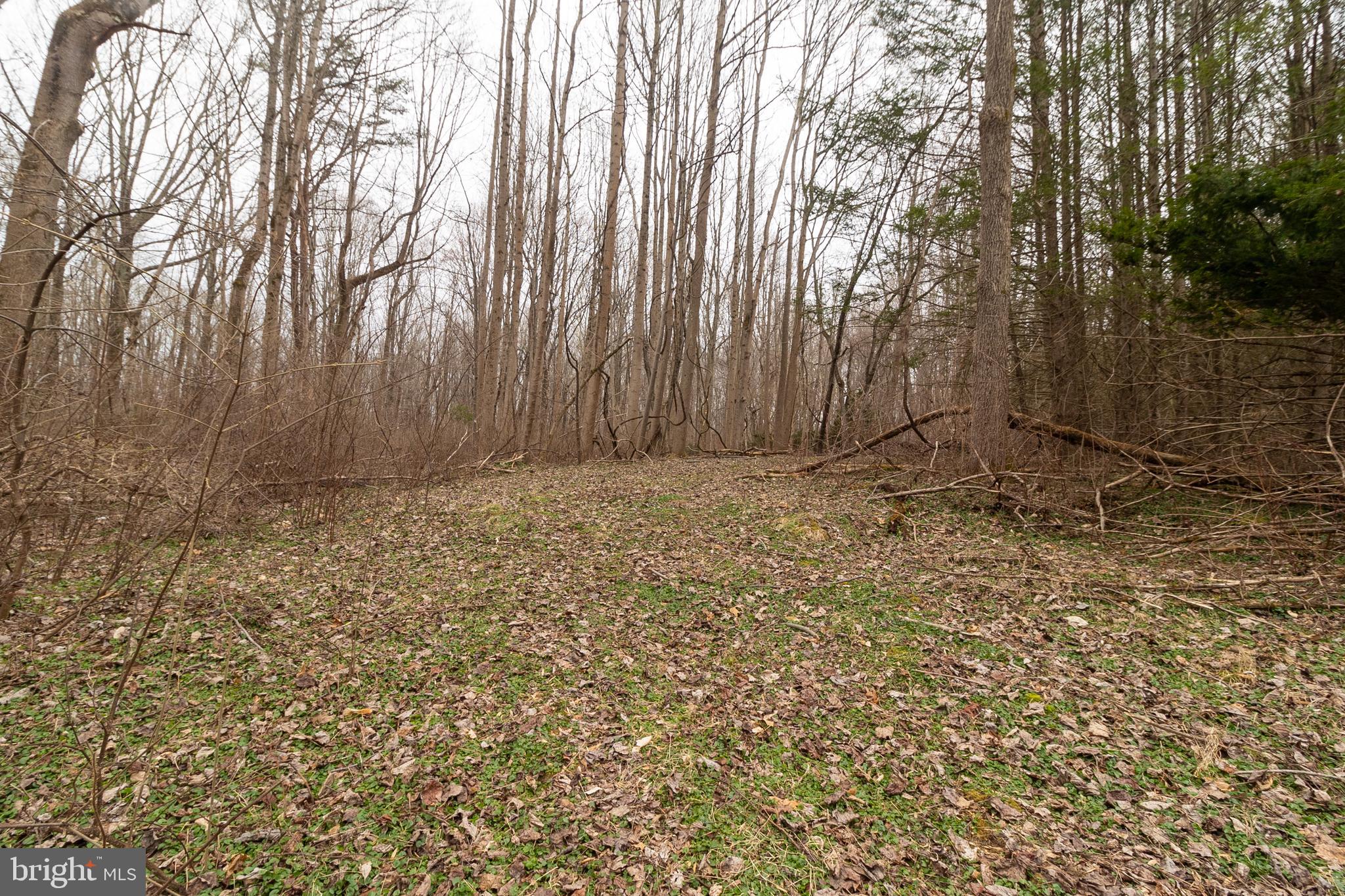 1625 Ashton Road Ashton, MD 20861 - Photo 9 of 23 a view of outdoor space and yard