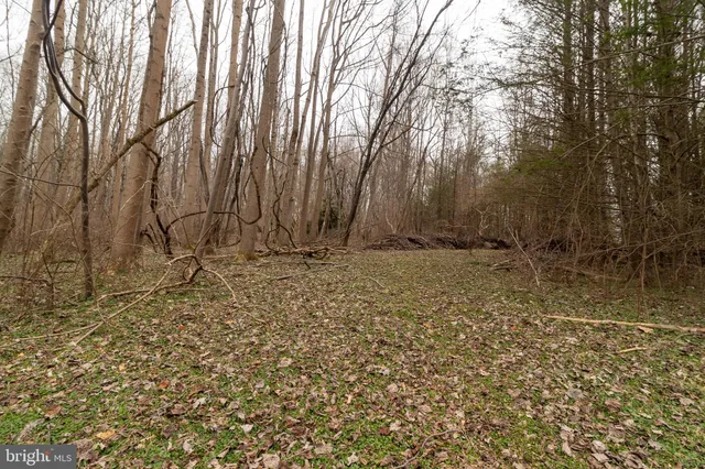 a view of outdoor space