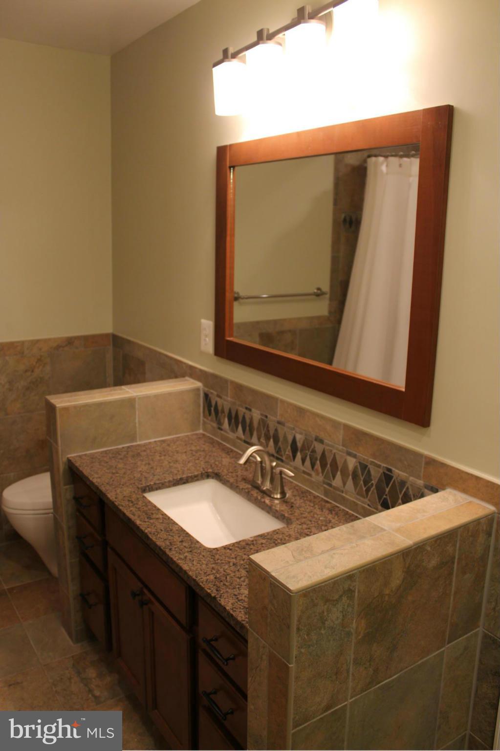 3717 Pleasant Ridge Road Annandale, VA 22003 - Photo 16 of 29 Newly renovated Master Bathroom