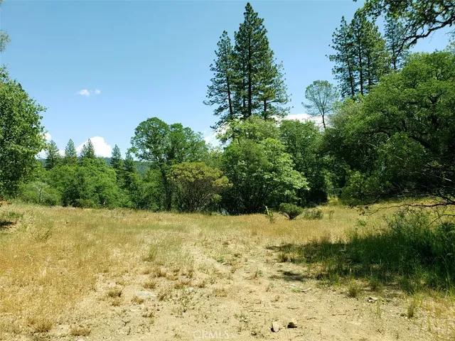 a view of a yard with trees
