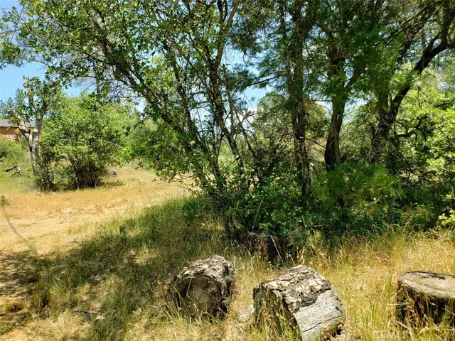 a view of a yard with a tree