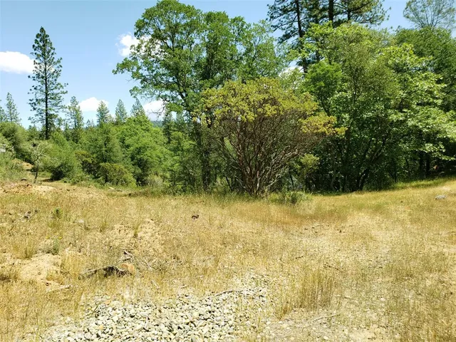 a view of a yard with an outdoor space