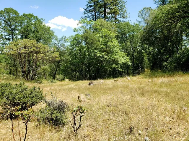a view of yard with green space