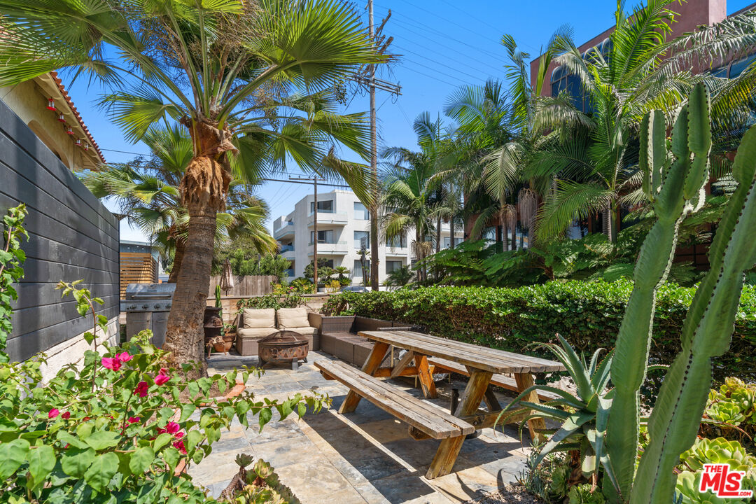 35 Catamaran Street, Unit 3 Marina del Rey, CA 90292 - Photo 11 of 11 a view of a yard with plants