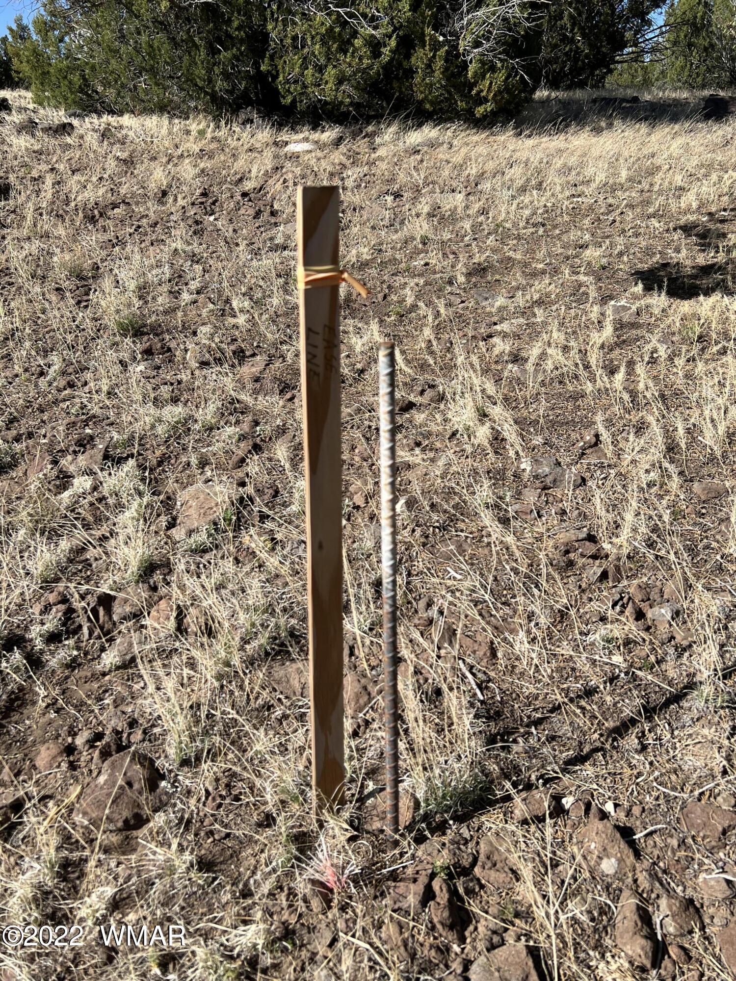 Tbd Gample Lane Show Low, AZ 85901 - Photo 5 of 9