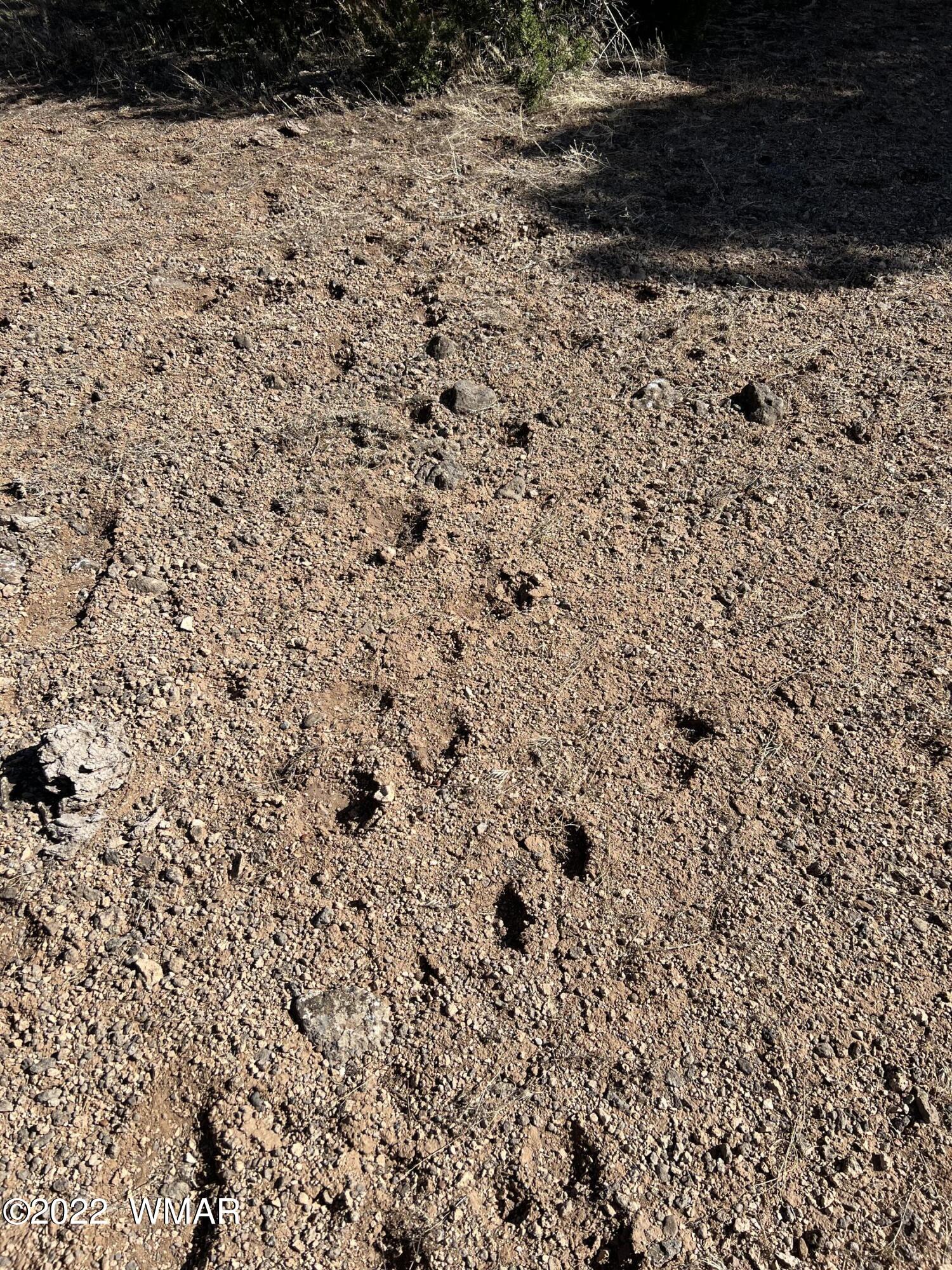Tbd Gample Lane Show Low, AZ 85901 - Photo 7 of 9