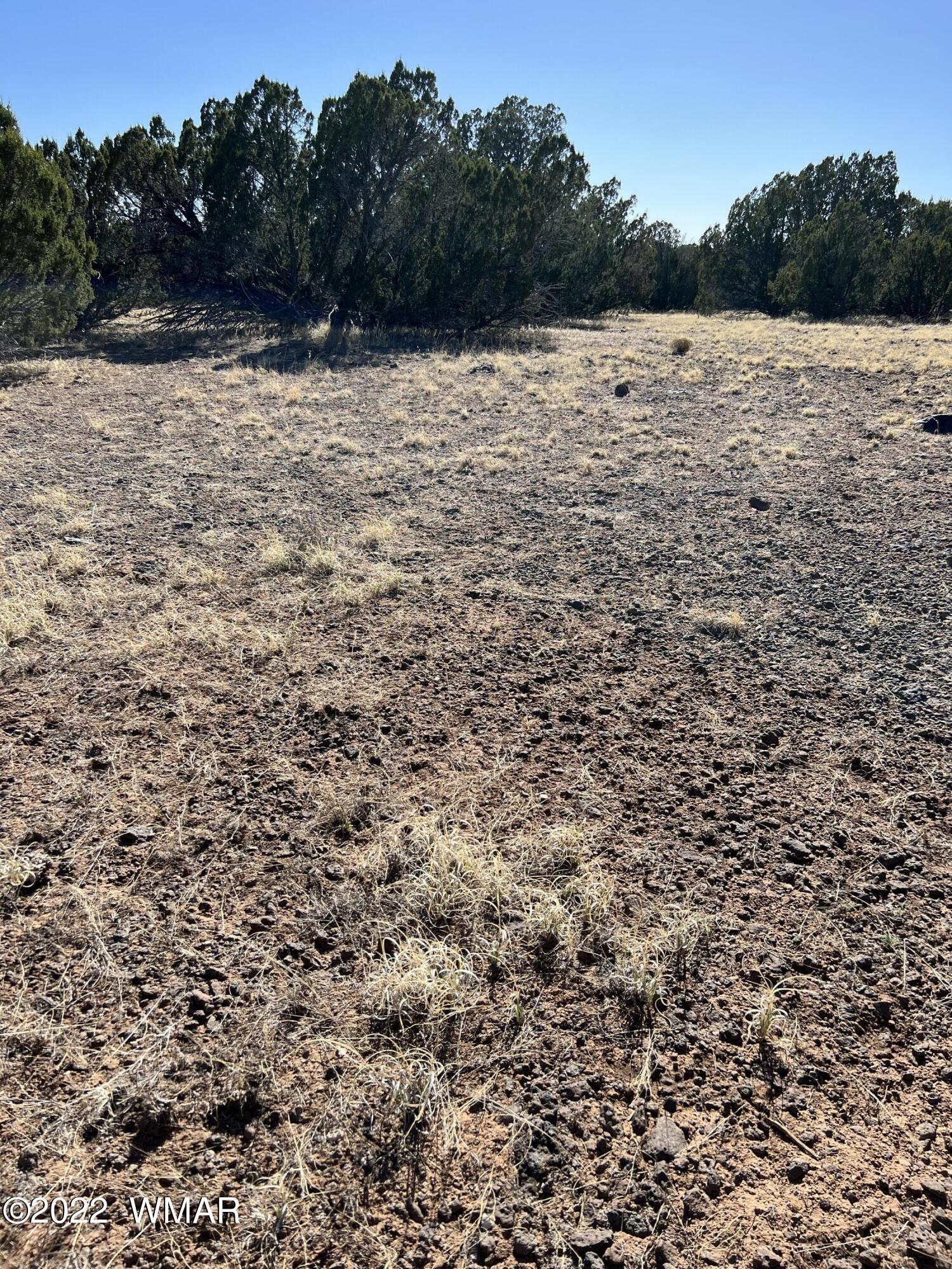 Tbd Gample Lane Show Low, AZ 85901 - Photo 8 of 9