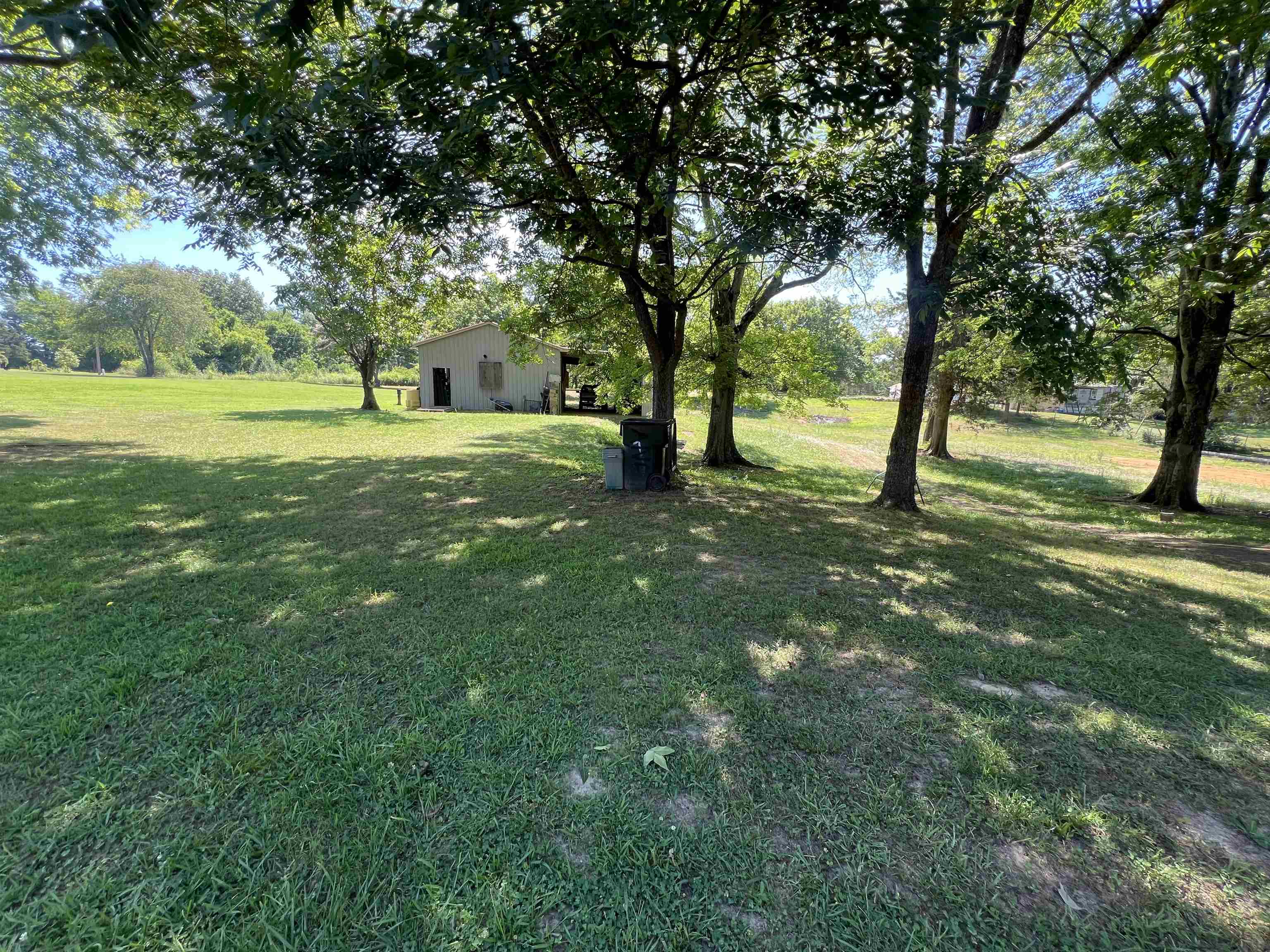 135 Angotti Road Crump, TN 38327 - Photo 19 of 29 View of yard