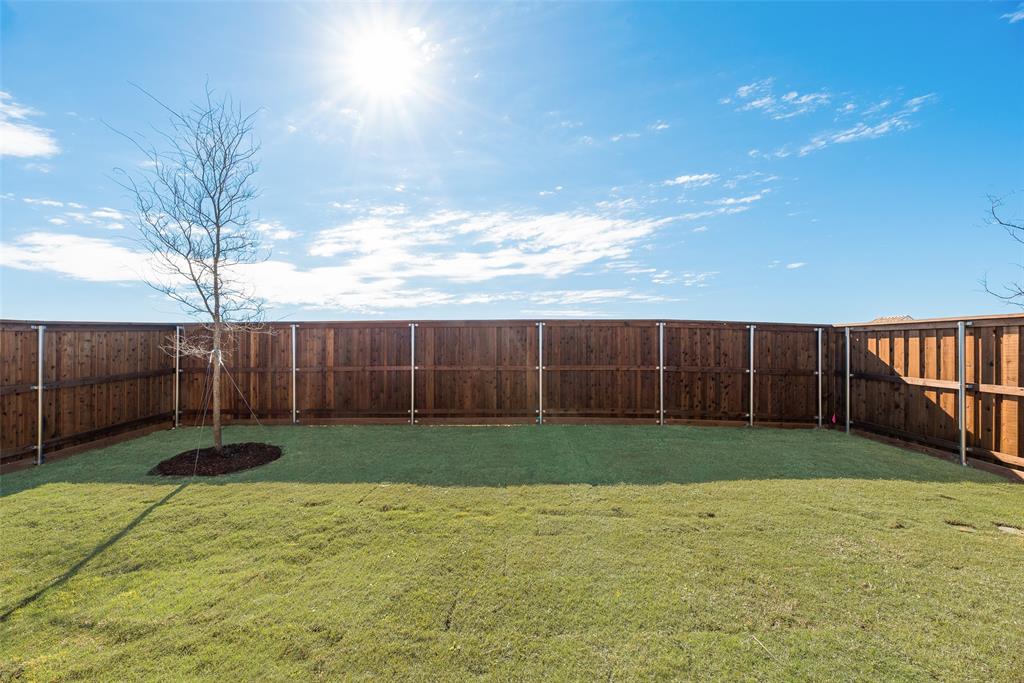 149 Ashbrook Street Little Elm, TX 75068 - Photo 31 of 31