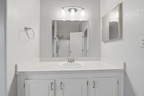 a view of a backyard with a tree